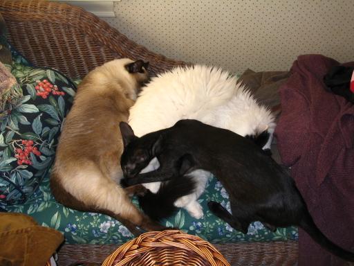 click for larger size