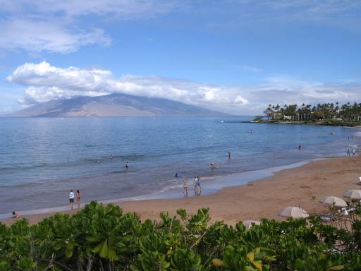 click for larger size