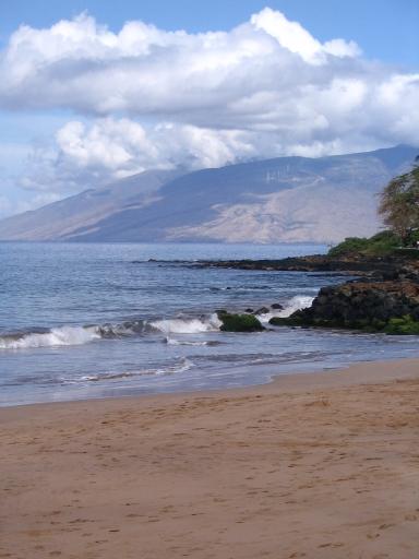 click for larger size