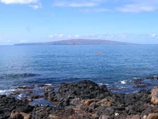 click for larger size