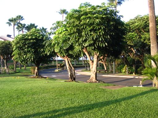 click for larger size