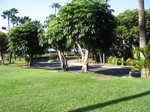 click for larger size