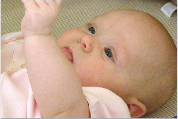 click for larger size