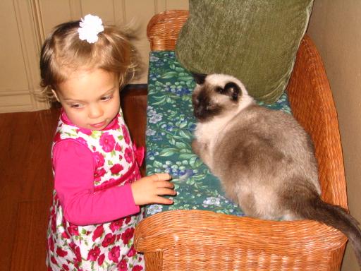 click for larger size