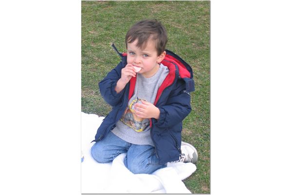 click for larger size