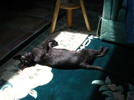 click for larger size