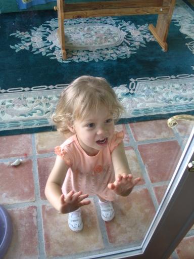 click for larger size