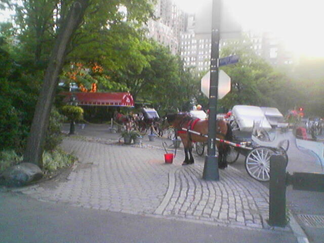 click for larger size