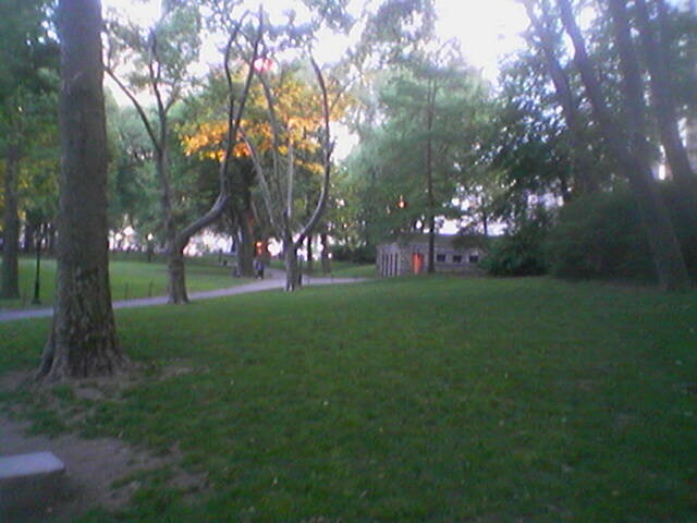 click for larger size