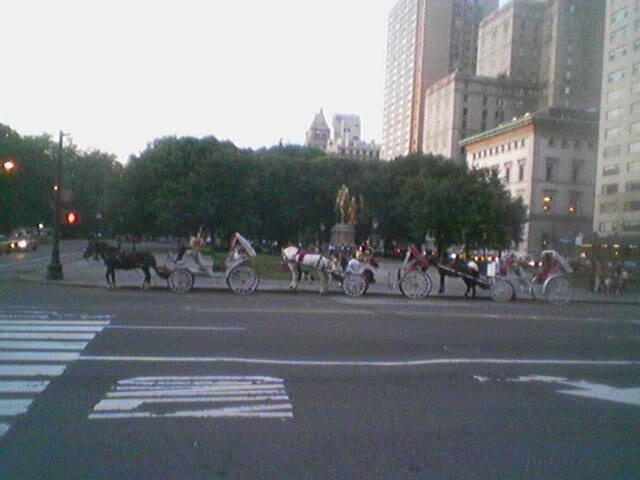 click for larger size