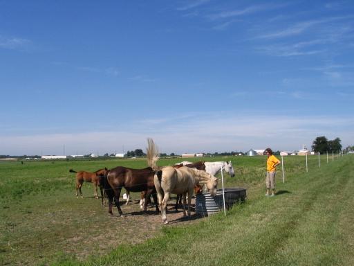 click for larger size