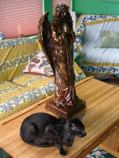 click for larger size