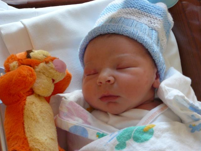 click for larger size