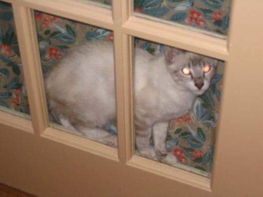 click for larger size