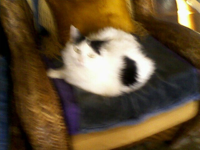 click for larger size