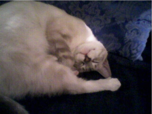 click for larger size