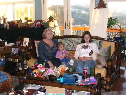 click for larger size