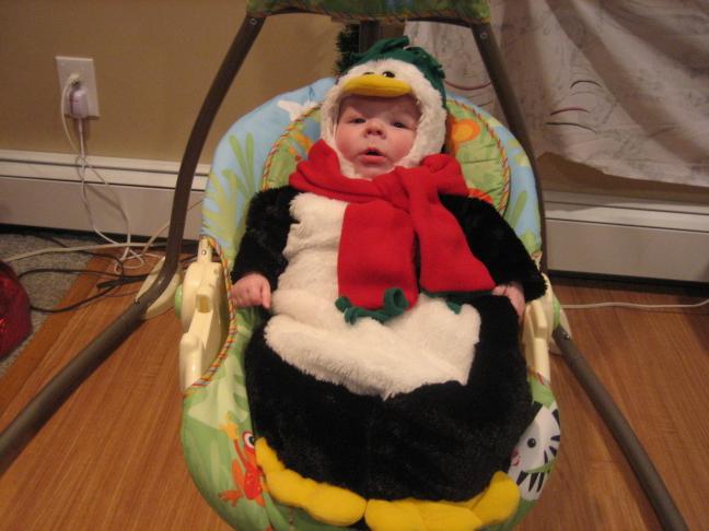 click for larger size