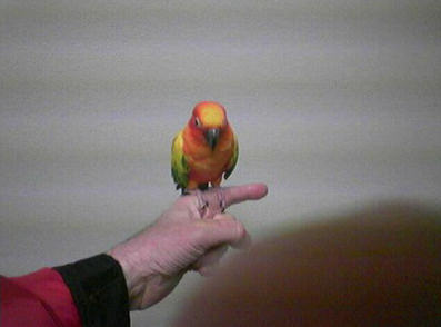 click for larger size