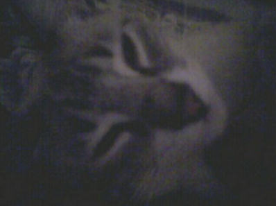 click for larger size