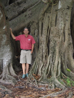 click for larger size