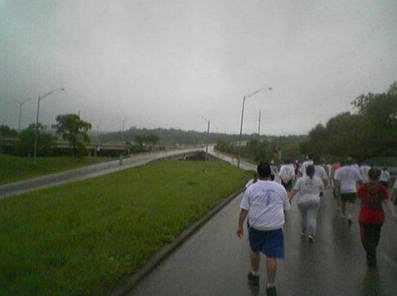 click for larger size