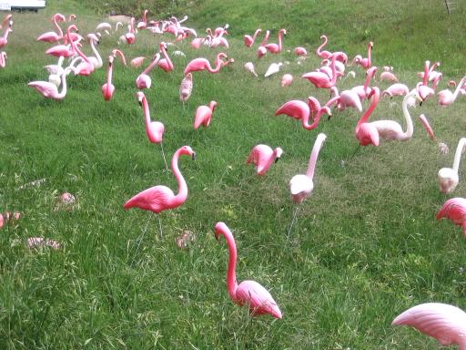 click for larger size