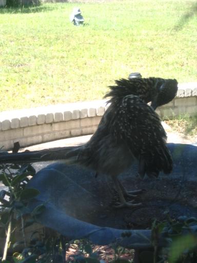 click for larger size