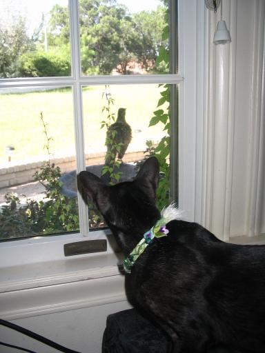 click for larger size