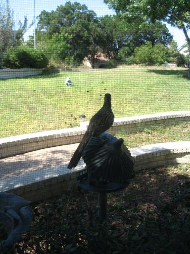 click for larger size