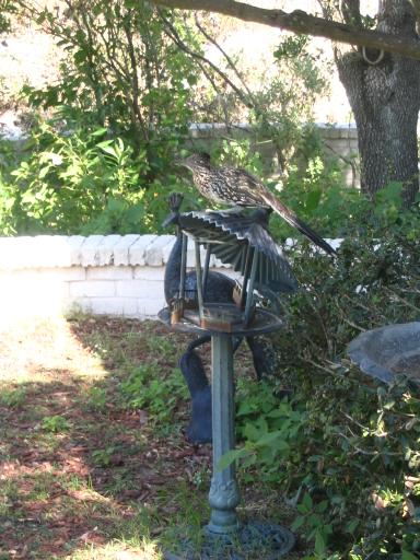 click for larger size