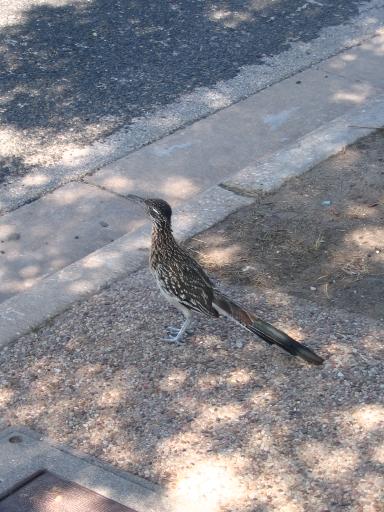 click for larger size