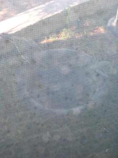 click for larger size