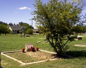 click for larger size