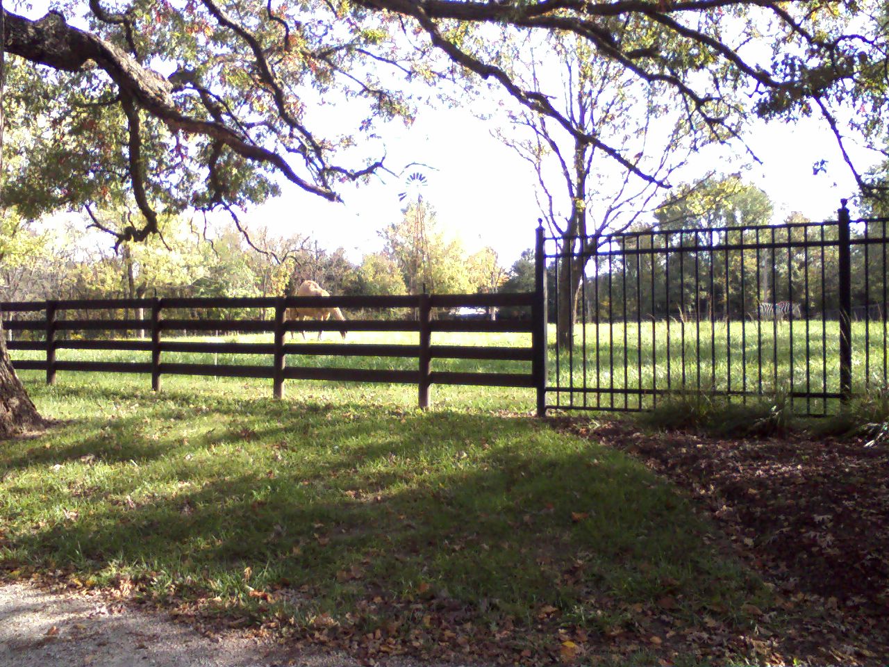 click for larger size