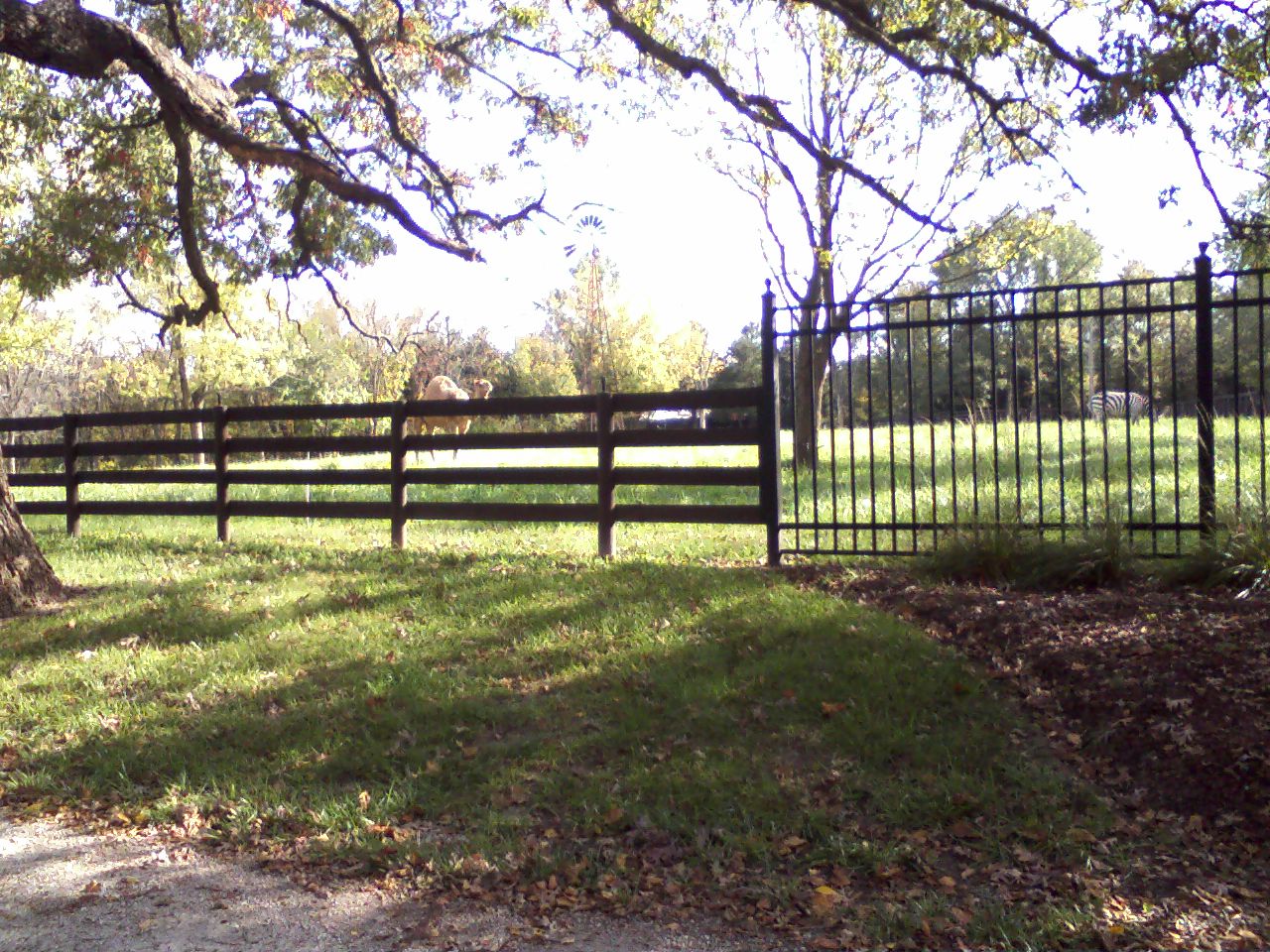 click for larger size