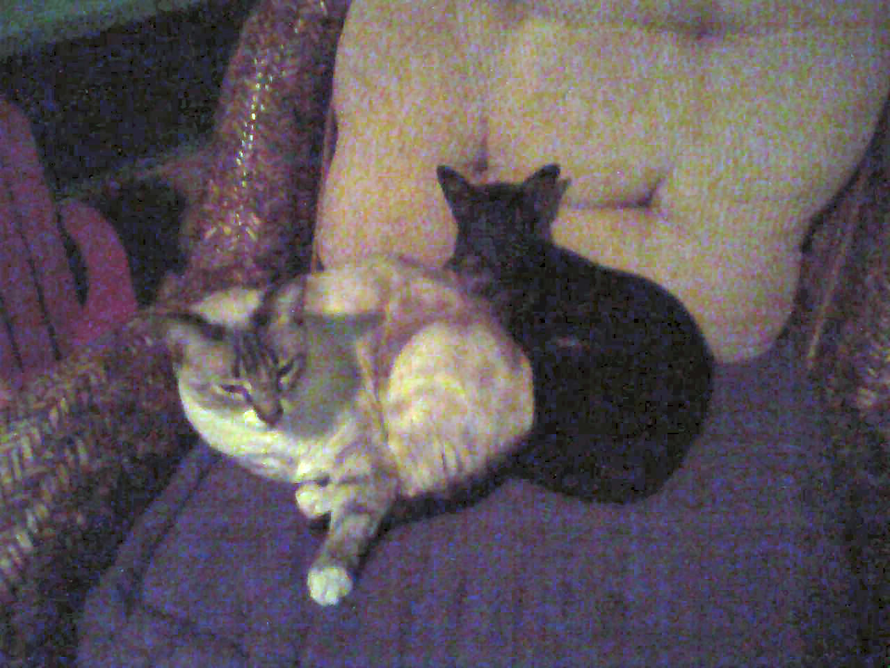 click for larger size