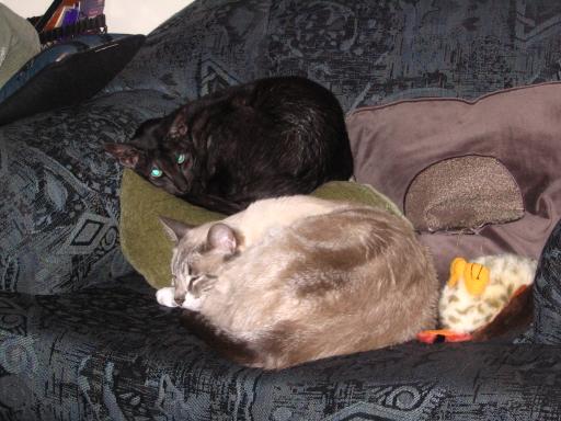 click for larger size