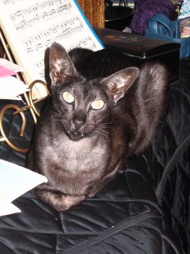 click for larger size