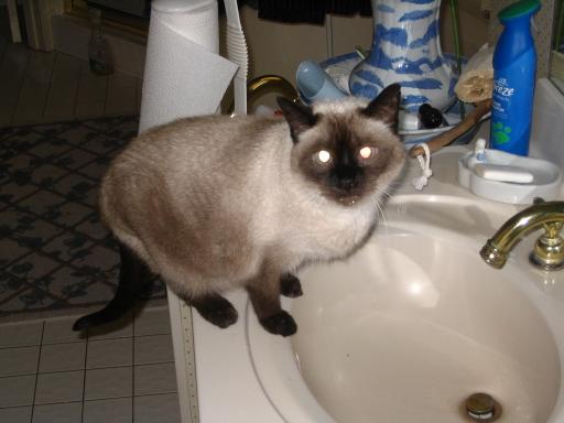 click for larger size