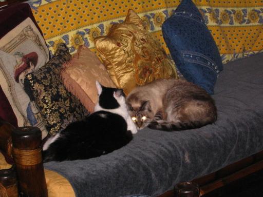 click for larger size