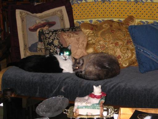 click for larger size