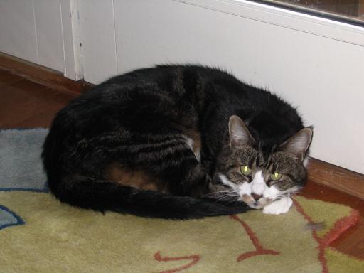 click for larger size