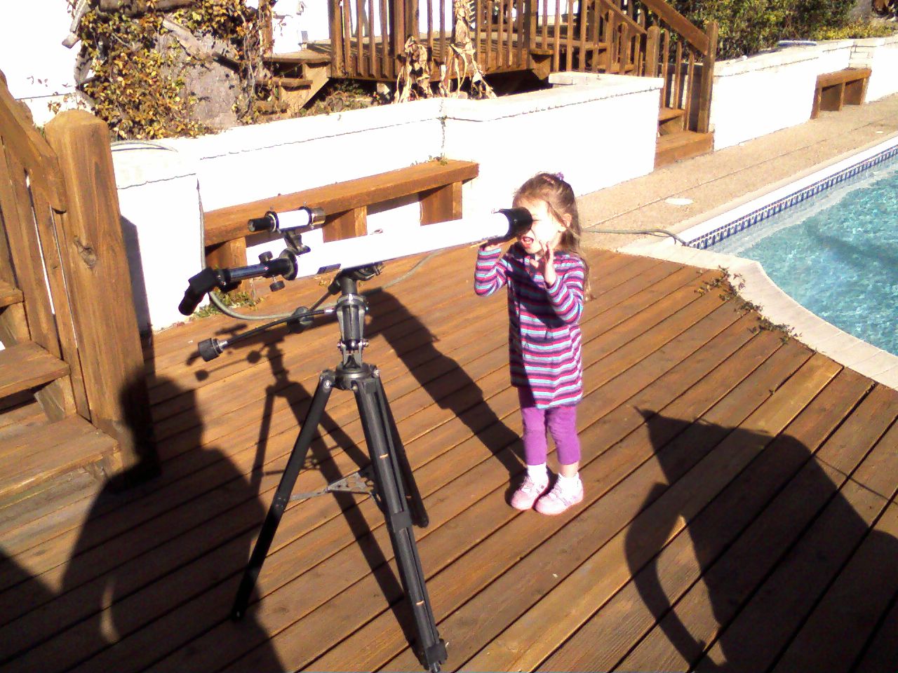 click for larger size