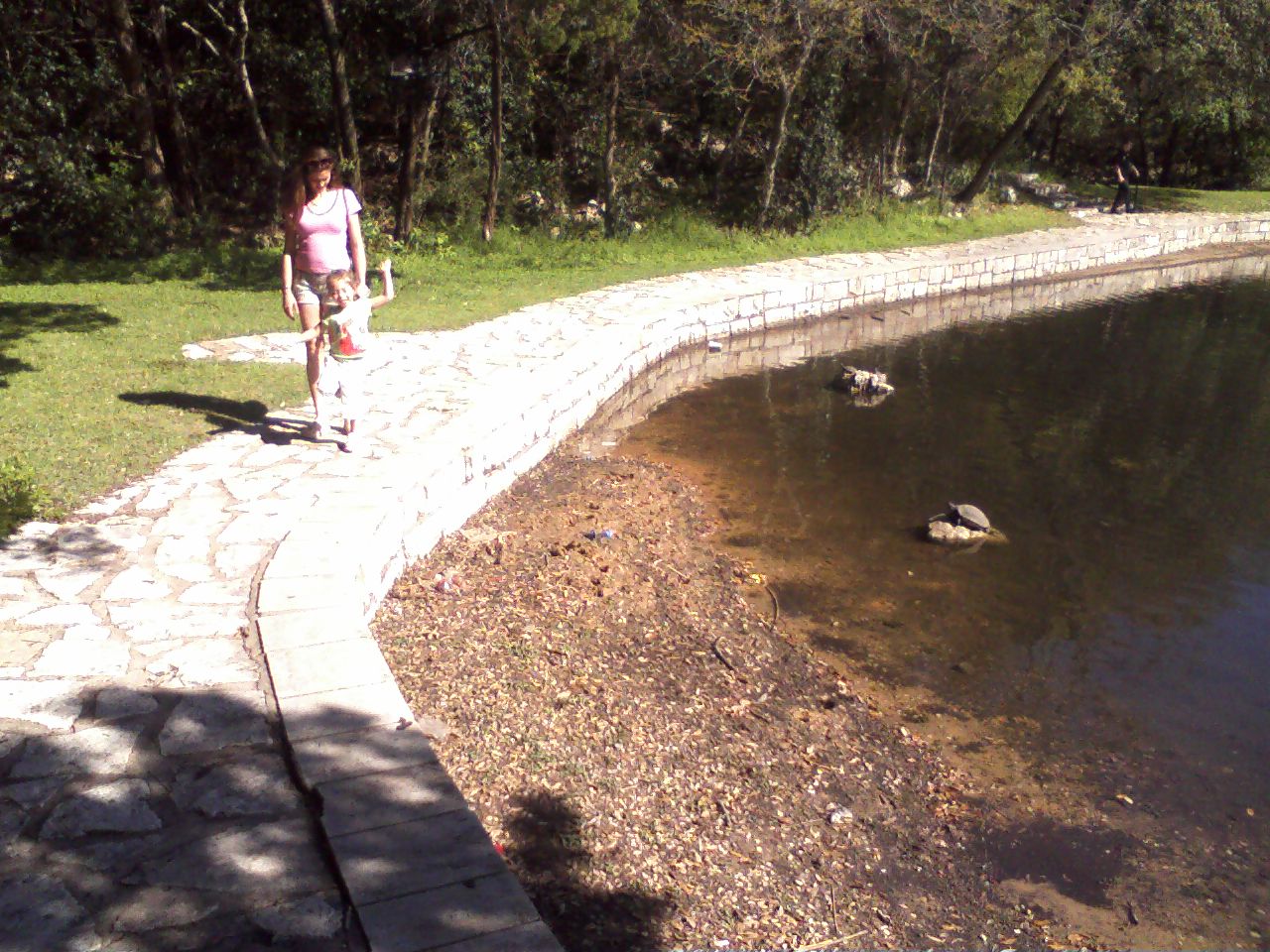 click for larger size