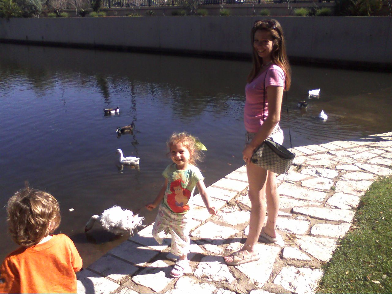 click for larger size