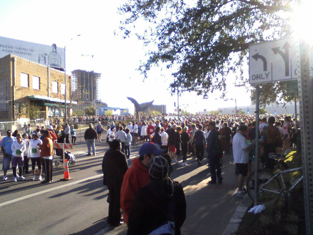 click for larger size