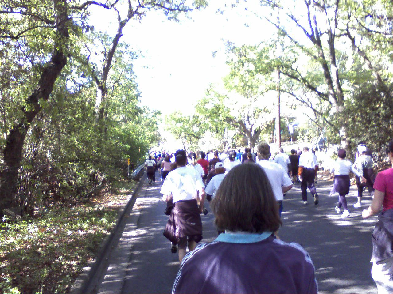 click for larger size