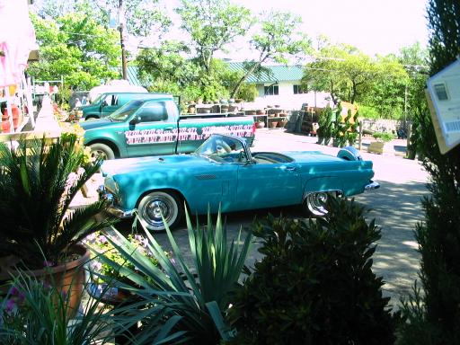 click for larger size