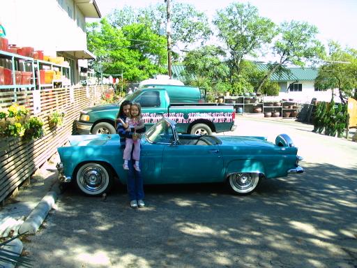 click for larger size